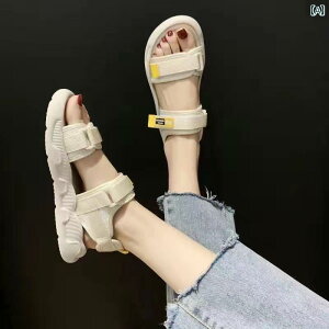 XChT_Oo ėp ʋC tH[ JWA W[ r[`  킢 Y t@bV fB[X x[W ubN O[