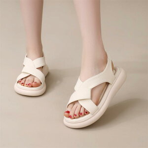 XChT_Oo ėp ʋC tH[ JWA W[ r[`  킢 Y t@bV fB[X ubN x[W