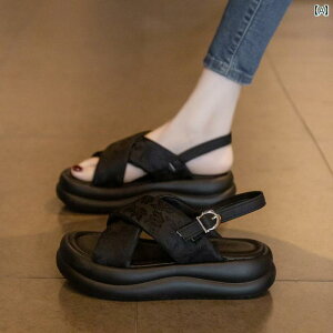 XChT_Oo ėp ʋC tH[ JWA W[ r[`  킢 Y t@bV fB[X