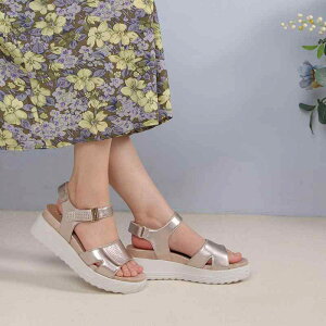 XChT_Oo ėp ʋC tH[ JWA W[ r[`  킢 Y t@bV fB[X ubN zCg