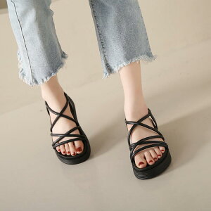 XChT_Oo ėp ʋC tH[ JWA W[ r[`  킢 Y t@bV fB[X ubN x[W