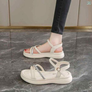 XChT_Oo ėp ʋC tH[ JWA W[ r[`  킢 Y t@bV fB[X CG[ x[W