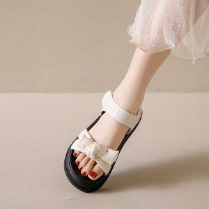 XChT_Oo ėp ʋC tH[ JWA W[ r[`  킢 Y t@bV fB[X ubN x[W