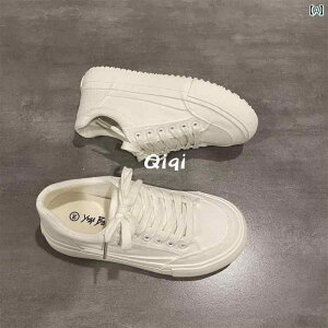 LpXV[Y JWA ɂ Gɂ K  X|[c y  t fB[X zCg O[