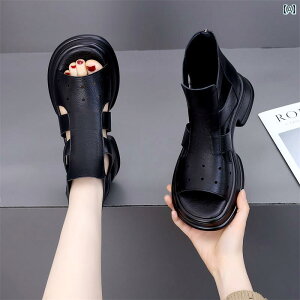 T_ ₷ fB[X I[v^ z[^Cv  傫TCY ʋC ~ t Vv  JWA t@bV AE^[ g₷ ֗ o A[e