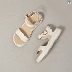 T_  r[` fB[X ƘIo  oh K Vv  JWA t@bV AE^[ g₷ ֗ o A[eBt@Ng