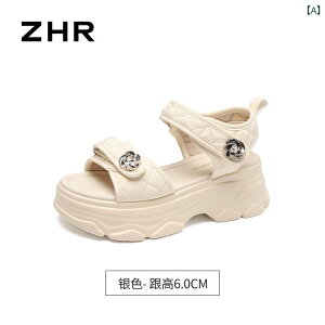 XChT_Oo ėp ʋC tH[ JWA W[ r[`  킢 Y t@bV fB[X  x[W ubN Vo[