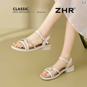 XChT_Oo ėp ʋC tH[ JWA W[ r[`  킢 Y t@bV fB[X x[W CG[