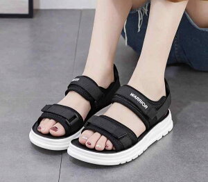 XChT_Oo ėp ʋC tH[ JWA W[ r[`  킢 Y t@bV fB[X  ubN x[W