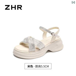 XChT_Oo ėp ʋC tH[ JWA W[ r[`  킢 Y t@bV fB[X x[W