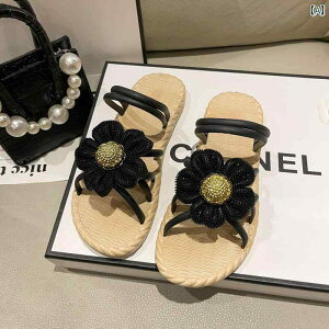 XChT_Oo ėp ʋC tH[ JWA W[ r[`  킢 Y t@bV fB[X  p ubN O[ zCg