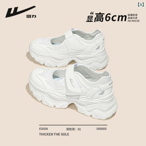 T_  fB[X ʋC  Vv  JWA t@bV AE^[ g₷ ֗ o A[eBt@Ng X|[c zCg