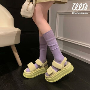 XChT_Oo ėp ʋC tH[ JWA W[ r[`  킢 Y t@bV fB[X  zCg O[ ubN