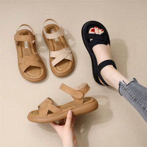 XChT_Oo ėp ʋC tH[ JWA W[ r[`  킢 Y t@bV fB[X ubN x[W J[L