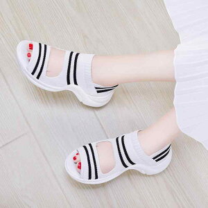 XChT_Oo ėp ʋC tH[ JWA W[ r[`  킢 Y t@bV fB[X  