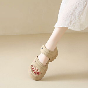 XChT_Oo ėp ʋC tH[ JWA W[ r[`  킢 Y t@bV fB[X J[L x[W ubN