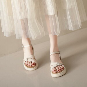 XChT_Oo ėp ʋC tH[ JWA W[ r[`  킢 Y t@bV fB[X CG[ x[W