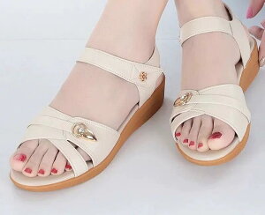 XChT_Oo ėp ʋC tH[ JWA W[ r[`  킢 Y t@bV fB[X ubN x[W