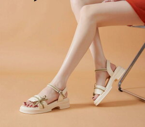 XChT_Oo ėp ʋC tH[ JWA W[ r[`  킢 Y t@bV fB[X CG[ x[W