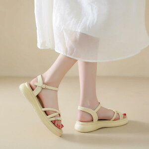 XChT_Oo ėp ʋC tH[ JWA W[ r[`  킢 Y t@bV fB[X CG[ x[W