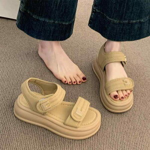 XChT_Oo ėp ʋC tH[ JWA W[ r[`  킢 Y t@bV fB[X  J[L ubN