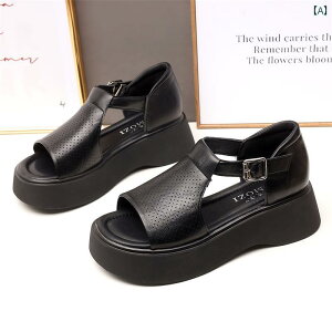 XChT_Oo ėp ʋC tH[ JWA W[ r[`  킢 Y t@bV fB[X    J[L