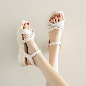 XChT_Oo ėp ʋC tH[ JWA W[ r[`  킢 Y t@bV fB[X x[W ubN