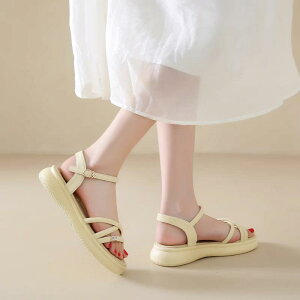 XChT_Oo ėp ʋC tH[ JWA W[ r[`  킢 Y t@bV fB[X zCg CG[