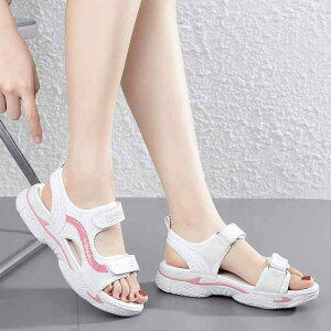 XChT_Oo ėp ʋC tH[ JWA W[ r[`  킢 Y t@bV fB[X  sN 