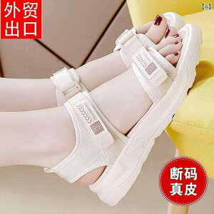 XChT_Oo ėp ʋC tH[ JWA W[ r[`  킢 Y t@bV fB[X x[W ubN