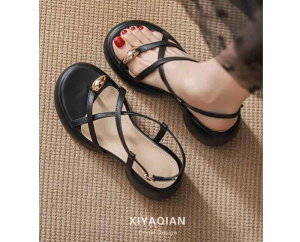 XChT_Oo ėp ʋC tH[ JWA W[ r[`  킢 Y t@bV fB[X ubN zCg