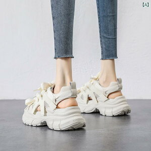 T_  fB[X z[ ʋC  Vv  JWA t@bV AE^[ g₷ ֗ o A[eBt@Ng ނ X|[c