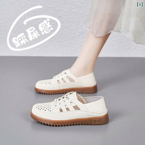 T_ fB[X z[ Dw U[ \tg\[  ܐ 傫TCY ʋC Vv  JWA t@bV AE^[ g₷ ֗ o A[eBt@Ng 