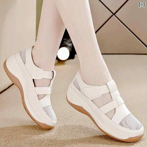 T_ fB[X z[ U[ \tg\[  傫TCY ʋC ~ K Vv  JWA t@bV AE^[ g₷ ֗ o A[eBt@N