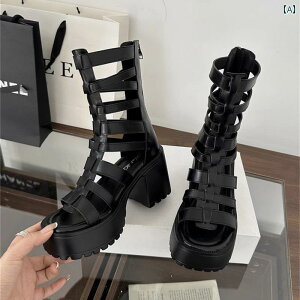 T_ ₷ fB[X q[   \  Vv  JWA t@bV AE^[ g₷ ֗ o A[eBt@Ng [}