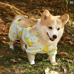 pCR[g Gv ybgpi J CEFA t@bV JWA h~ h ʋC y AEghA U