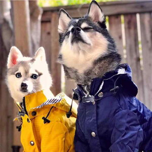 pCR[g Gv ybgpi J CEFA t@bV JWA h~ h ʋC y AEghA U CG[ sN lCr[