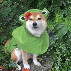 pCR[g Gv ybgpi J CEFA t@bV JWA h~ h ʋC y AEghA U