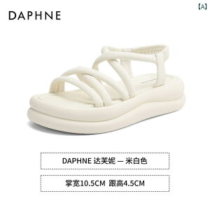 T_ r[` fB[X ƘIo tFA[ Vv  JWA t@bV AE^[ g₷ ֗ o A[eBt@Ng [} Xbp