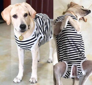 ybgEFA pi U [h Xgbv ANZT[ ^ p S[fgo[ uh[  ی  rߖh~ XgCv {[_[