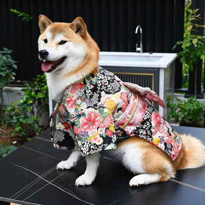 ybgEFA pi U [h Xgbv ANZT[ Rui Chaijia a  R[M[ efBxA ʐ^ Be {