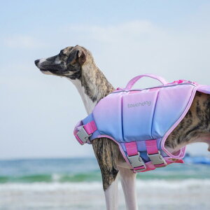 ybgEFA hbOEFA  ߑ ptH[}X t@bV JWA RXv 