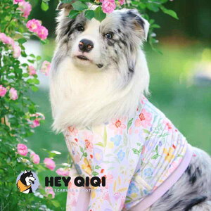 ybgEFA hbOEFA  ߑ ptH[}X t@bV JWA RXv 