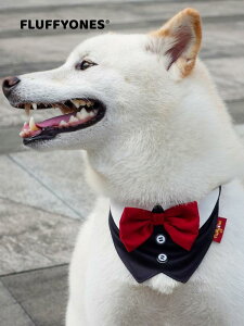 ybgEFA hbOEFA  ߑ ptH[}X t@bV JWA RXv 