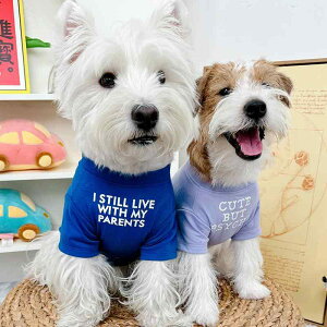 ybgEFA hbOEFA  ߑ ptH[}X t@bV JWA RXv 