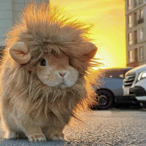 ybgEFA hbOEFA  ߑ ptH[}X t@bV JWA RXv 