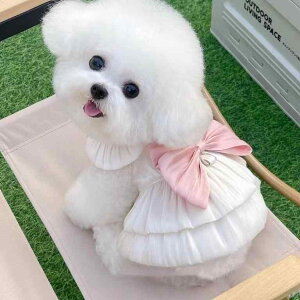 ybgEFA hbOEFA  ߑ ptH[}X t@bV JWA RXv 