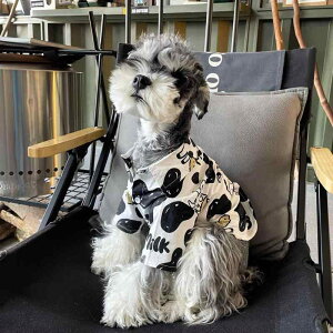 ybgEFA hbOEFA  ߑ ptH[}X t@bV JWA RXv 