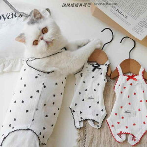 ybgEFA hbOEFA  ߑ ptH[}X t@bV JWA RXv 