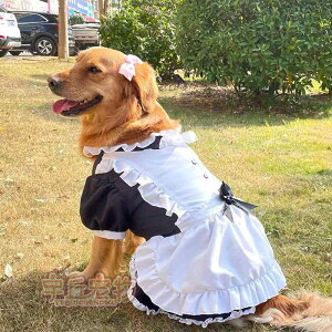 ペットウェア おしゃれ かわいい ファッション 犬 猫 洋服 衣装 中型 大型 スカート 変身 ゴールデンレトリバー シェパード メイド ウェディング エプロン コスプレ